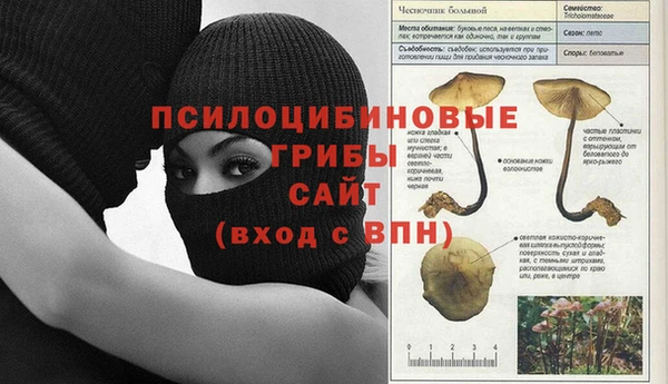 мет Липки