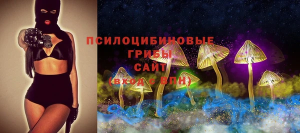 мескалин Лабытнанги