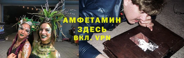 гидра Ладушкин